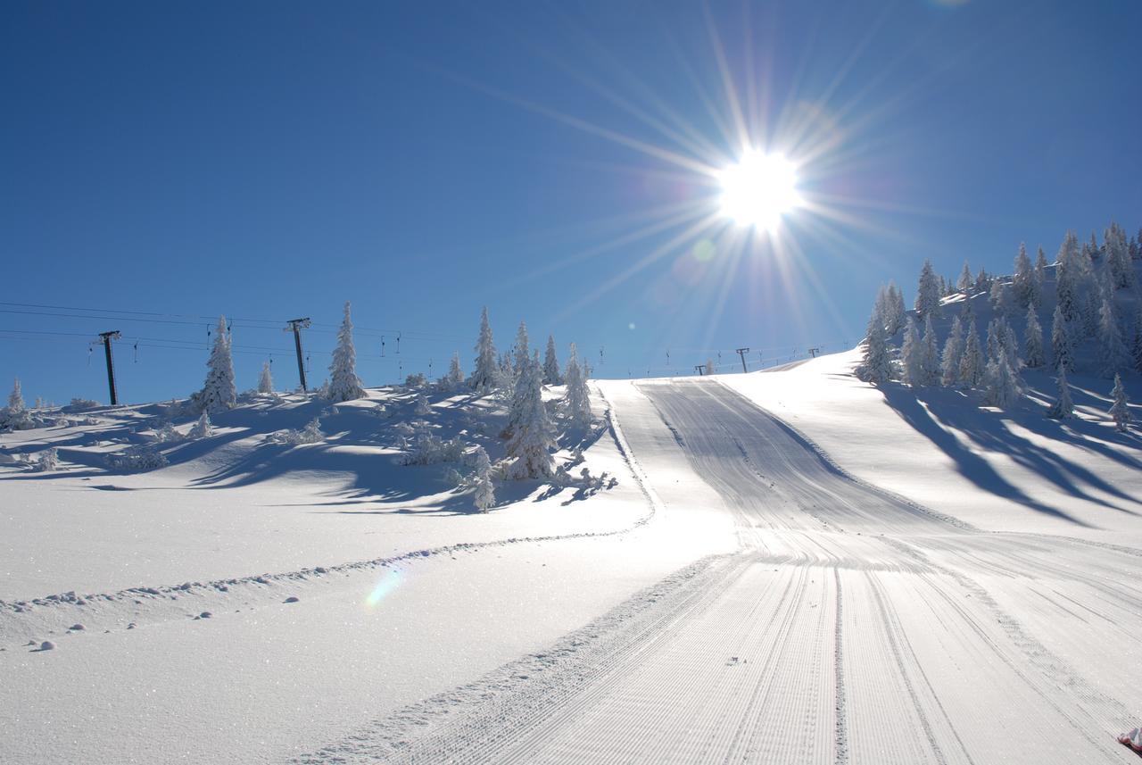 Oberwarthlodge Schladming Eksteriør billede